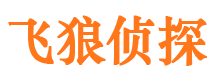 颍州市私家侦探